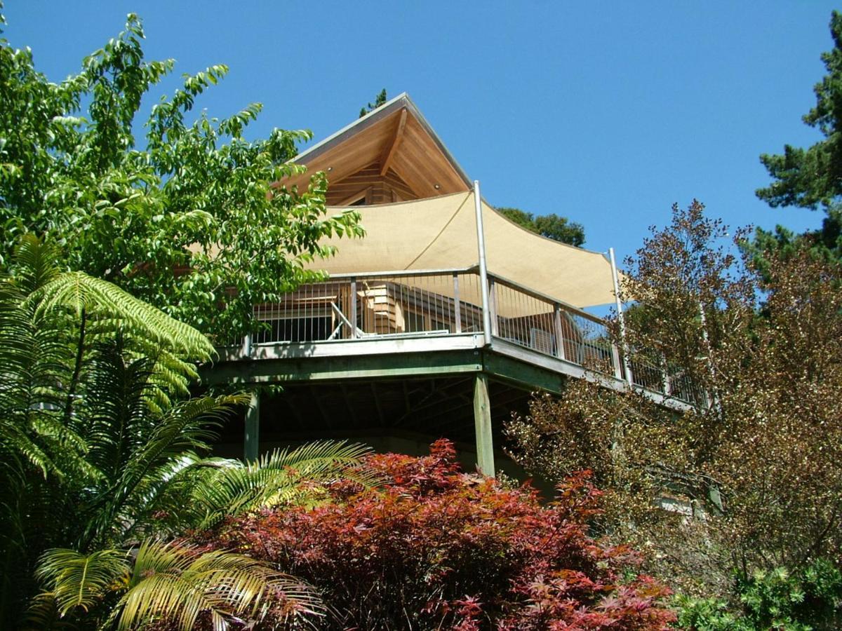 Waiotahi Valley Lodge Thames Zewnętrze zdjęcie